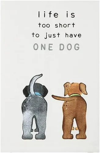 Miniatura 5 de IM Going to Dog Towel