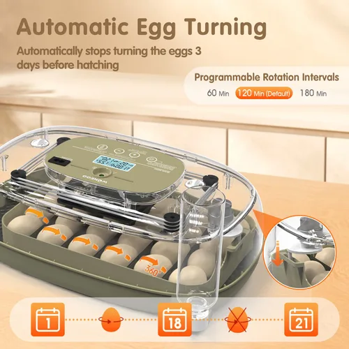 Miniatura 4 de Incubadoras para incubar huevos Incubador de huevos de pollo Visualización de huevos 360° para pollo, patos, gansos, palomas, codornices 24 huevos