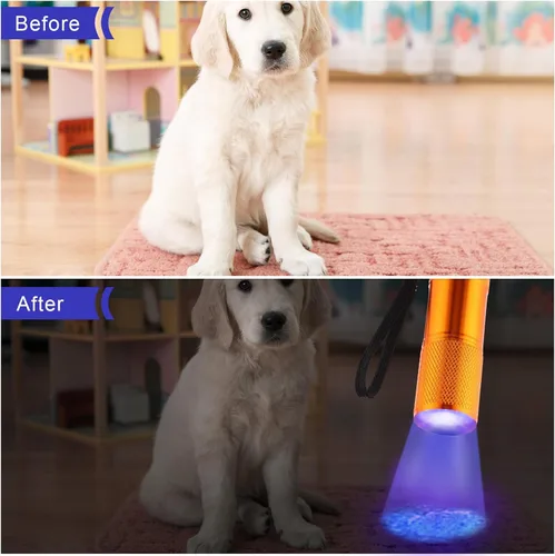 Miniatura 5 de Roceei 10 linternas de luz negra UV, luces LED, luz negra de mano, mini detector de antorcha, linterna UV portátil para mascotas