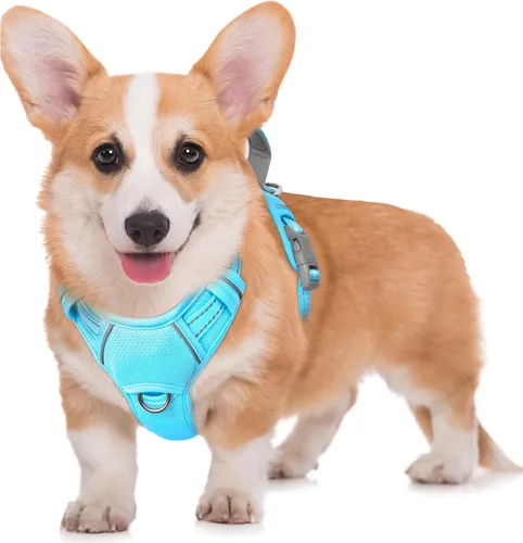 Miniatura 104 de BARKBAY Arnés para Perro Sin Tirones Talla Grande Arnés Reflectante para Perro con Clip Frontal y Asa de Control Fácil para Caminar Entrenar Correr