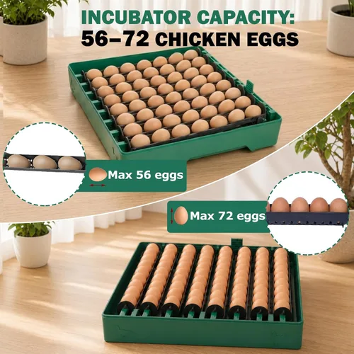 Miniatura 2 de Incubadoras para incubar huevos, incubadora de 72 huevos con girador automático de huevos y control de humedad y temperatura digital, visión clara