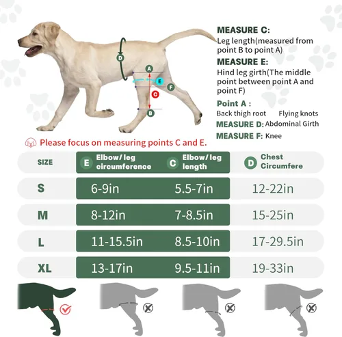 Miniatura 6 de Soporte ajustable para patas traseras de perro para perros pequeños a grandes, rodillera de perro para pierna trasera desgarrada con estabilizador
