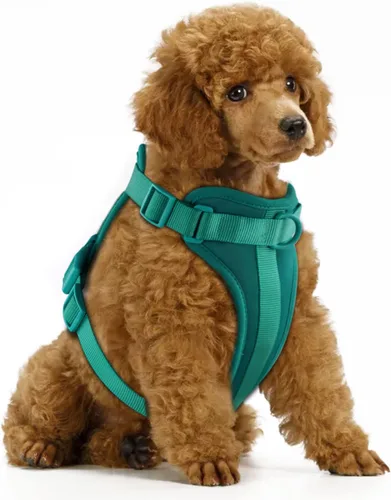 Miniatura 11 de Arnés ligero para perro sin tirones: arnés ajustable y duradero de malla transpirable con cojín suave y cómodo, para perros pequeños, medianos y Lila