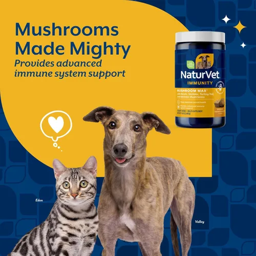 Miniatura 3 de NaturVet Mushroom Max Suplemento Avanzado de Apoyo Inmunológico para Perros – Ayuda a Fortalecer la Inmunidad, Salud General para Perros – Incluye