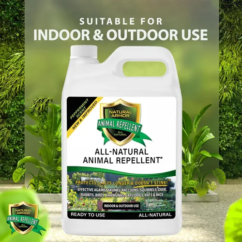 Miniatura 3 de Natural Armor Repelente en aerosol para animales y roedores. Ahuyenta zorrillos, mapaches, ratas, ratones, ciervos, roedores y bichos. Repelente