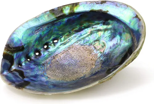 Miniatura 3 de Ocean Shell Studios - Concha de abulón natural premium de 5-6 pulgadas (Pāua) para sahumerio, limpieza del hogar, meditación, manualidades