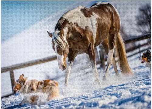 Miniatura 9 de MyPuzzle American Paint Horse On Snow - Rompecabezas de 100 piezas para adultos