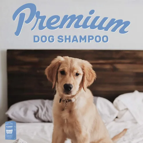 Miniatura 9 de OLIVER'S CHOICE Champú para perros con avena, aloe y manteca de karité – Champú desodorante para cachorros que huelen mal, alivio para piel