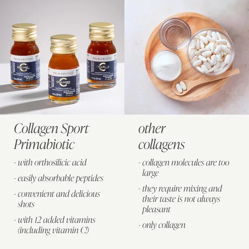 Miniatura 5 de PRIMABIOTIC Liquid Collagen Sport – 10000 mg por porción – Bebida alta en proteínas – Colágeno hidrolizado + 12 vitaminas + ácido ortosilícico – Sin