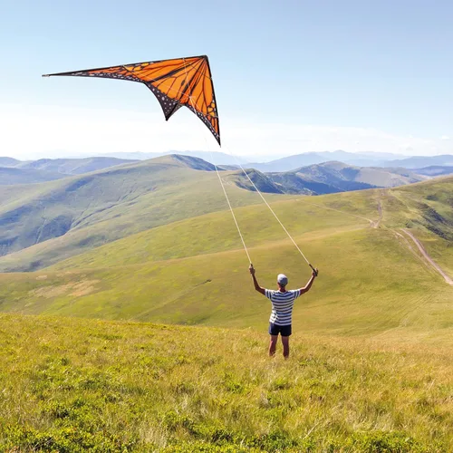 Miniatura 9 de Mk2 Cometa de acrobacias de doble línea con una envergadura de 90 pulgadas
