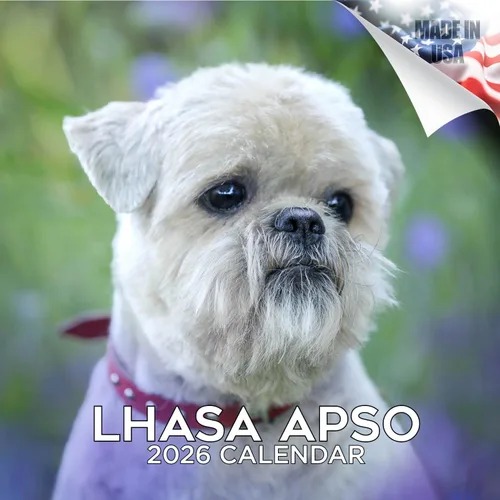 Miniatura 45 de Calendario 2025 2026 de cachorros Cocker Spaniel - Calendario mensual de pared de raza de perro - 12" x 24" abierto - Papel grueso sin sangrado