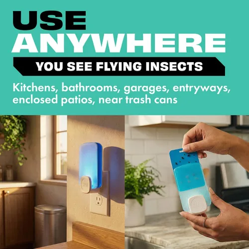 Miniatura 7 de STEM Trampa para insectos – Control de plagas de moscas de la fruta y mosquitos para interiores, para casa, hogar y cocina, atrae y atrapa insectos