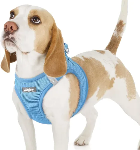 Miniatura 150 de rabbitgoo Arnés para perro pequeño, chaleco de malla suave para cachorros con hebilla de seguridad, arnés reflectante transpirable para mascotas