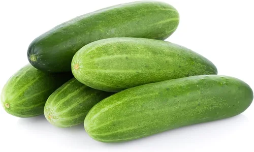 Miniatura 2 de TKE Farms & Gardens - Semillas de pepino, 8 rectas, 55 semillas de pepino sin OMG, ideales para rebanar, ensaladas y encurtidos crujientes, incluye