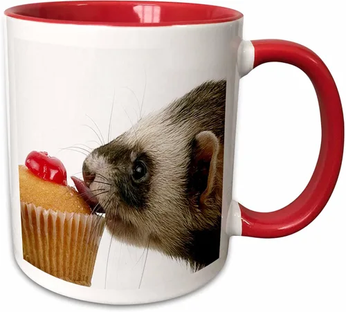 Miniatura 9 de 3dRose mug_17288_4 Hurón Eating Cupcake - Taza negra de dos tonos, multicolor, 11 onzas Blanco