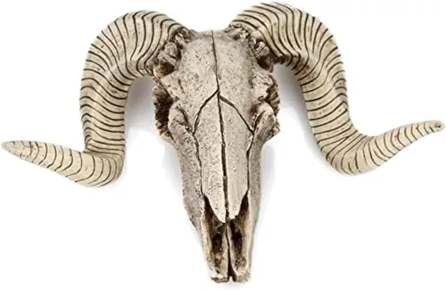 Escultura de pared de cabeza de oveja, decoraciones de carnero de resina, decoración de calavera de oveja carnero, escultura de esqueleto de animal,