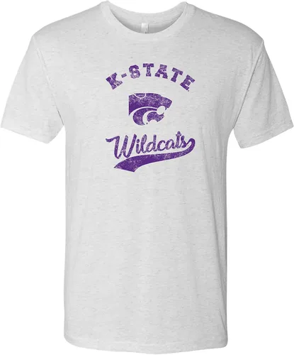 Miniatura 25 de UGP Campus Apparel AS11 - Camiseta Triblend Retro Script