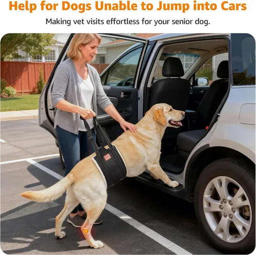 Miniatura 4 de LOOBANI Arnés de elevación para perros para patas traseras, arnés portátil para perros grandes, soporte para patas traseras, cómodo soporte