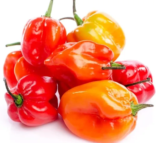 Miniatura 4 de Más de 35 semillas de pimiento picante para plantar habanero fantasma, mezcla de semillas de pimiento fantasma, rojo, naranja, amarillo, semillas