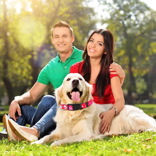 Miniatura 5 de Sadnyy 6 collares de perro para el día de Pascua con hebilla de plástico de seguridad, ajustable, lindo collar para mascotas para perros hembras