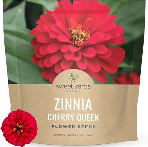 SWEET YARDS Zinnia Cherry Queen - Paquete grande de 1 onza - 4,000 semillas de flores para plantar - Zinnia elegans