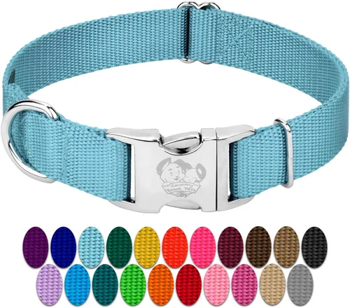 Country Brook Petz – Collar de nailon premium para perro con hebilla de metal – Vibrante selección de 25 colores, Azul Océano