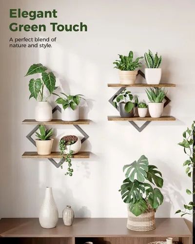 Miniatura 6 de Bamworld Estantes flotantes para macetas de pared para plantas de interior, estantes colgantes, soporte para plantas, decoración de pared, soporte