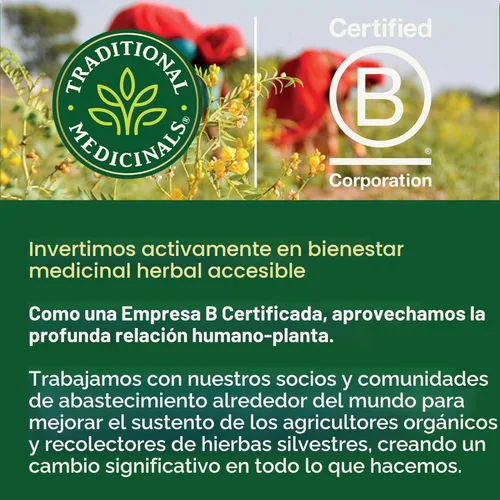 Miniatura 6 de Traditional Medicinals Té, raíz de diente de león tostado orgánico, apoya la función renal y la digestión saludable, 16 bolsas de té