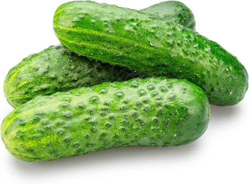 Miniatura 46 de 50 Hale's Best Cantaloupe Seeds for Planting - Sweet Aromatic Heirloom, Non-GMO, USA Grown by RDR Seeds