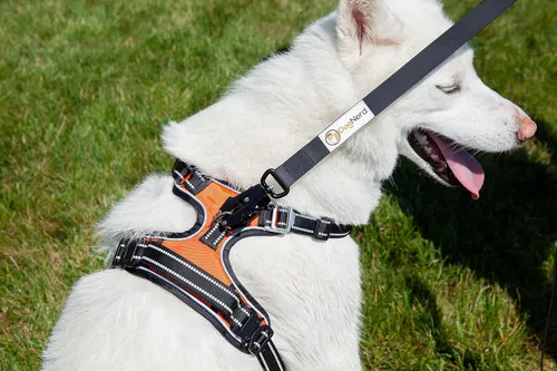 Miniatura 3 de Correa táctica de silicona resistente para perros de 6 pies con mosquetón de liberación rápida, correa de tráfico perfecta para perros grandes que