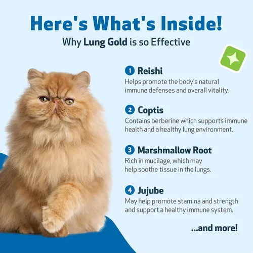 Miniatura 3 de Pet Wellbeing Oro pulmonar para gatos – Apoyo inmunológico pulmonar, salud respiratoria inferior, vías respiratorias abiertas, respiración normal