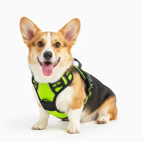 Miniatura 11 de Arnés para perro sin tirones, chaleco táctico verde XL, arnés extra grande de nailon 900D resistente con asas de fácil control, chaleco acolchado