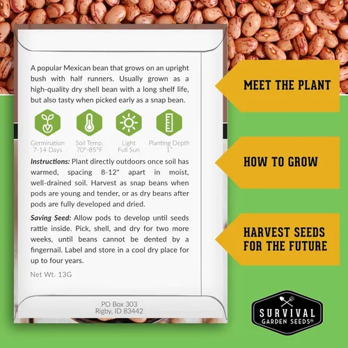 Miniatura 2 de Semillas de frijol Pinto para plantar, frijoles secos de reliquia, variedad de arbustos de alto rendimiento, cultivo alimenticio rico en proteínas