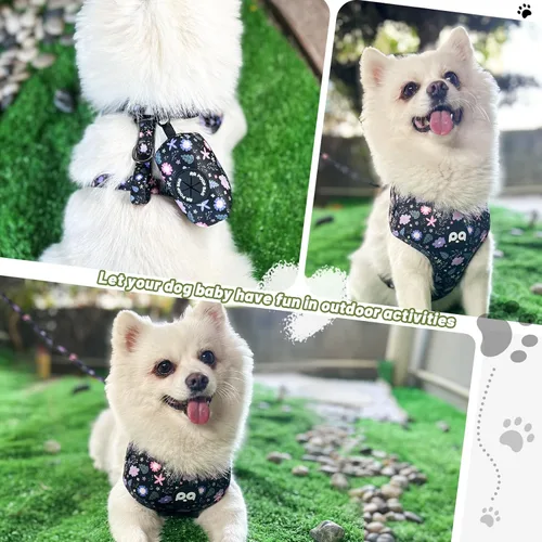 Miniatura 5 de QQPETS Arnés para perro con correa y soporte para bolsa de excrementos, juego de 4 piezas, ajustable sin tirones, chaleco acolchado de malla suave