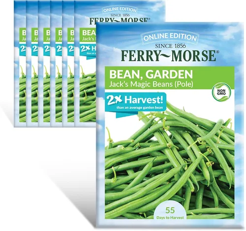 Miniatura 23 de Ferry-Morse Online Edition Tomato Supersweet 100 semillas híbridas – Alta tasa de germinación, sin OGM – Paquete de 8 Tomato Supersweet 100 Hybrid