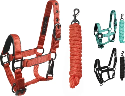 Derby Originals Desert Rose Collection - Caballos de caballos reflectantes de seguridad con cuerdas de plomo a juego Rosa (Coral Pink)