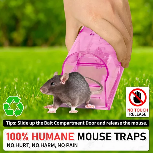 Miniatura 4 de LULUCATCH Trampas humanas para ratones, paquete de 2 trampas para ratones vivos, trampas para ratones de liberación de captura para interiores