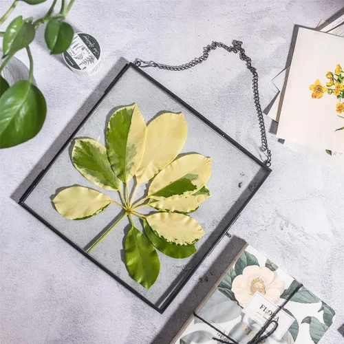Miniatura 2 de NCYP Marco flotante de vidrio colgante para flores secas prensadas, fotos, imágenes, especímenes de plantas pequeñas, 8 x 8 pulgadas, negro