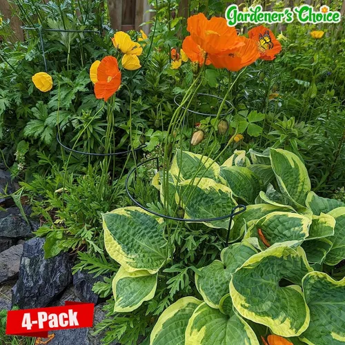 Miniatura 2 de Estaca de soporte para plantas de serpiente, estaca y soporte de peonía semicircular, jaula de soporte de hortensias resistente, anillo de soporte
