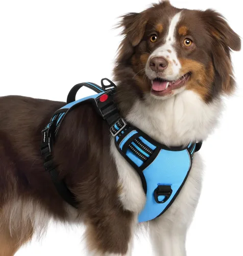 Miniatura 38 de rabbitgoo Arnés para perro de tamaño pequeño, arnés para mascotas sin tirones con mango acolchado suave, chaleco reflectante ajustable con 3
