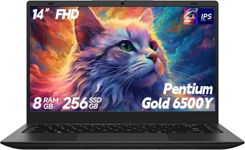 BLUEING Computadora portátil, 8 GB RAM 256 GB SSD, portátil con oro 6500Y (Beat 8100Y, hasta 3.4 GHz), pantalla FHD IPS de 14 pulgadas, tipo C,