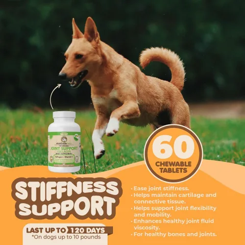 Miniatura 5 de Colágeno para perros y gatos - Suplementos de colágeno para la salud de las articulaciones - Suplemento de vitamina C para la movilidad