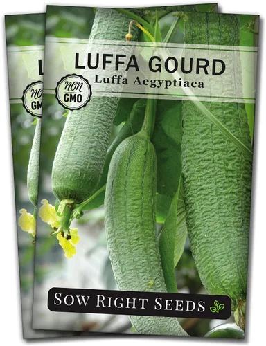 Miniatura 7 de Sow Right Seeds - Semilla de calabaza Luffa para plantar - Paquete de reliquia sin OMG con instrucciones para plantar un huerto casero - Cultiva tu