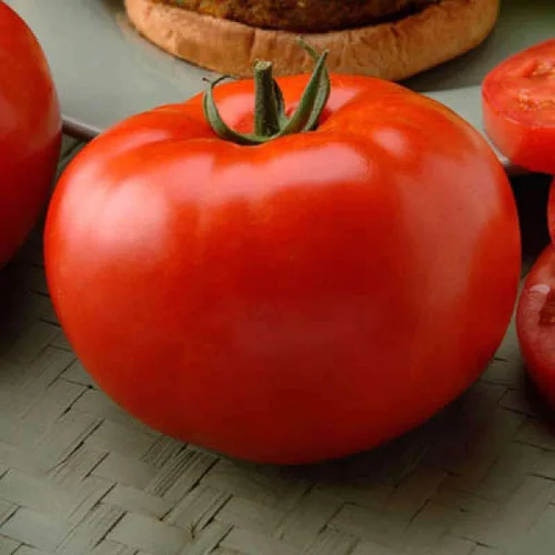Miniatura 5 de Semillas Red Giant Beefsteak Tomate - Vegetales tradicionales - Sin OGM