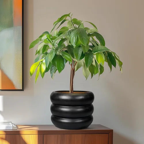 Miniatura 4 de Maceta de cerámica SQOWL para plantas de 8 pulgadas - Maceta de interior con orificio de drenaje para plantas de exterior, maceta floral moderna
