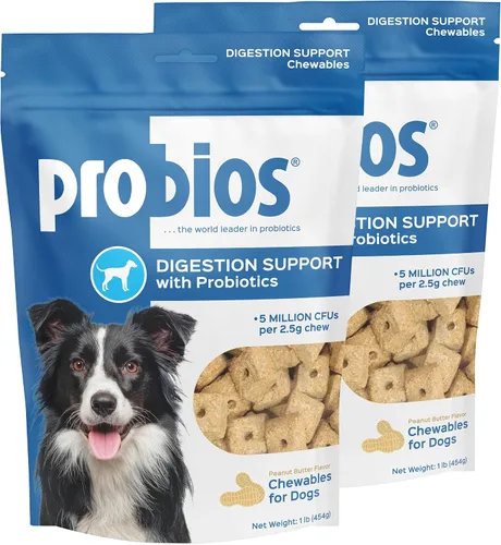 Probios Masticables de apoyo digestivo para perros, suplemento probiótico diario para la salud intestinal, la digestión y el apoyo inmunológico, 1