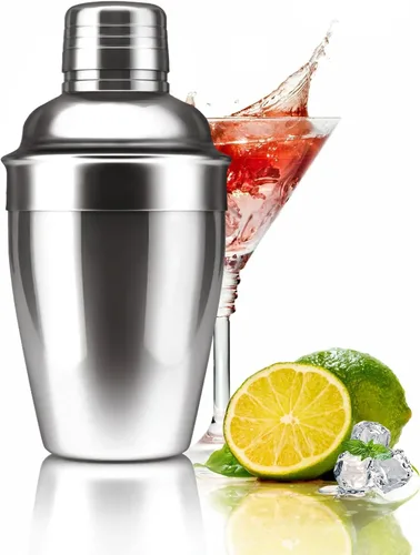 Zrorgons - Coctelera de acero inoxidable, mezclador clásico de martini con colador integrado, perfecto para regalo de bar en casa o camarero,