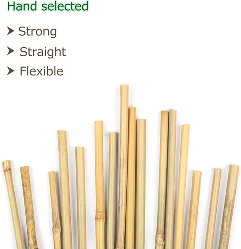Miniatura 2 de Cambaverd 40 piezas de palos de bambú natural para plantas de interior y exterior, estacas de soporte de 16 pulgadas para tomate, frijoles, plantas