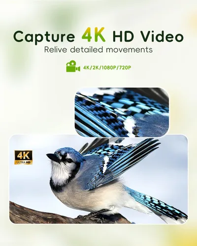 Miniatura 2 de Comedero inteligente Hibird 4K HD con cámara, WiFi inalámbrico Dual 2.4G/5G para exteriores, captura de video de aves en alta resolución automática