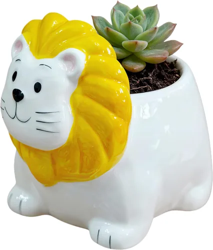 Miniatura 11 de Maceta de cerámica en forma de animal - Decoración única y encantadora para el hogar (vaca)